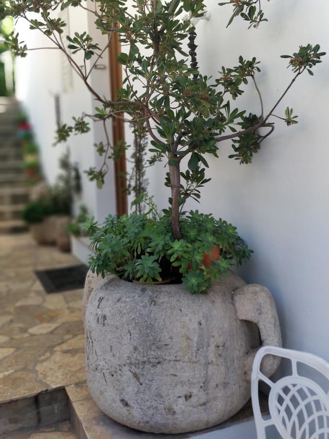 דוברובניק Adriatic Apartments מראה חיצוני תמונה